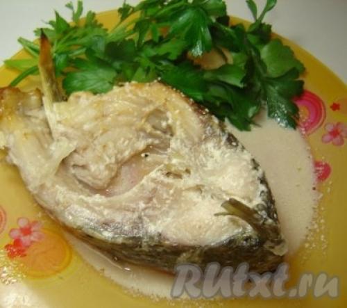 Карп в сметане в рукаве. Карп в сметане. Готовим карпа в рукаве