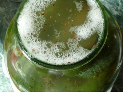 Рецепт вкусных соленых огурцов на зиму в банках хрустящие. Рецепт соленых огурцов в банках на зиму для хранения в квартире