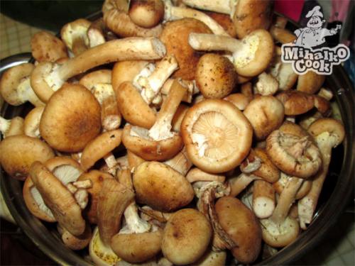 Маринад для опят на 1 литр воды с чесноком на зиму. Маринованные опята