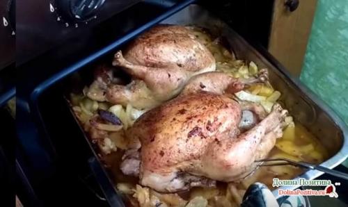 Как вкусно запечь кусочки курицы в духовке с картошкой. Курочка с картошкой в духовке – самый вкусный рецепт с корочкой