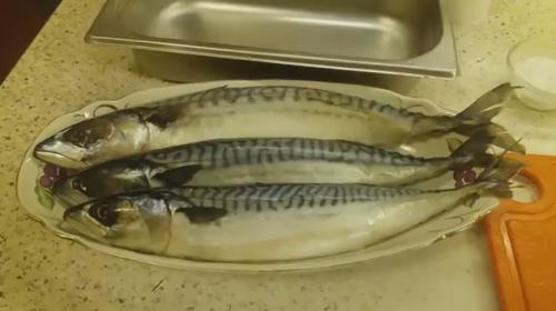 Скумбрия слабосоленая в рассоле. Солим свежемороженную скумбрию в рассоле