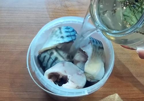 Как сделать дома скумбрию пряного посола в домашних условиях. Скумбрия пряного посола за сутки