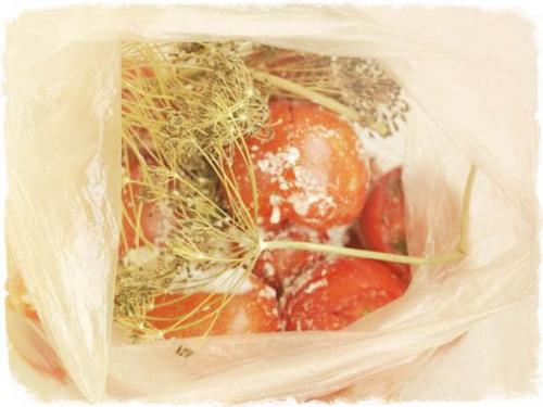 Быстрые помидоры с горчицей. Малосольные помидоры — самые вкусные и быстрые рецепты приготовления