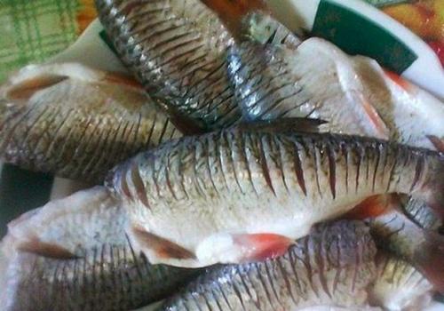 Как пожарить карасей, чтобы не было костей. Как готовить карася без костей — рецепты, как вкусно приготовить рыбу