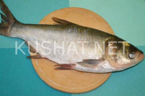 Как вкусно пожарить толстолобика на сковороде рецепт. Жареный толстолобик на сковороде – рецепт