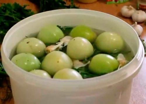 Кастрюля заменит бочонок или банки для закрутки, лучшие рецепты засолки зелёных помидор в кастрюле