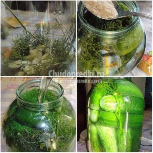 Соленые огурцы рецепт на зиму хрустящие на 3 литровую банку. Маринованные огурцы на зиму в 3 литровых банках