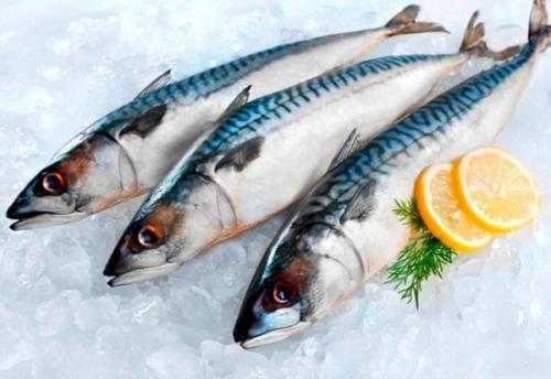 Скумбрия сухого посола Все буде Смачно. Все буде смачно. Эфир о. 17 Блюда из скумбрии. Часть 1