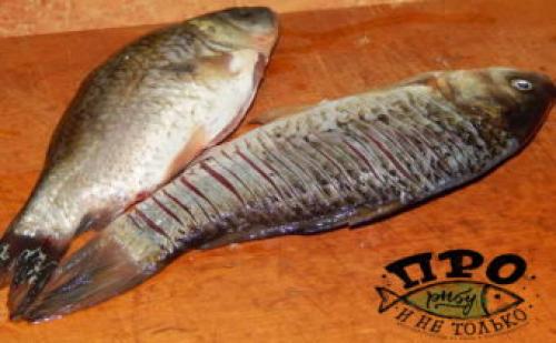 Как правильно пожарить карася или карпа, чтобы не было костей. Как вкусно пожарить карасей, чтобы не чувствовались кости