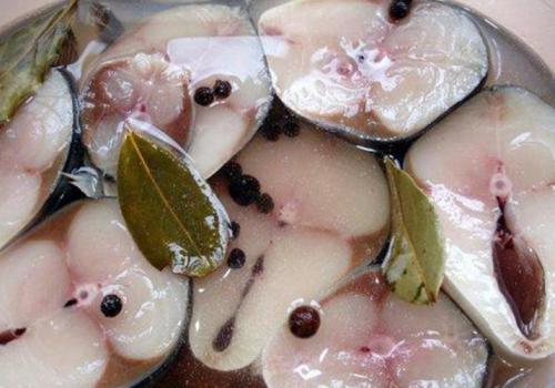 Как сделать дома скумбрию пряного посола в домашних условиях. Скумбрия пряного посола за сутки