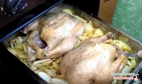 Как вкусно запечь кусочки курицы в духовке с картошкой. Курочка с картошкой в духовке – самый вкусный рецепт с корочкой