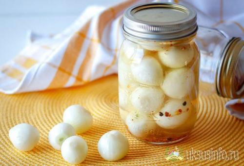 Как замариновать лук для шашлыка. Как быстро и вкусно замариновать лук с уксусом к шашлыку
