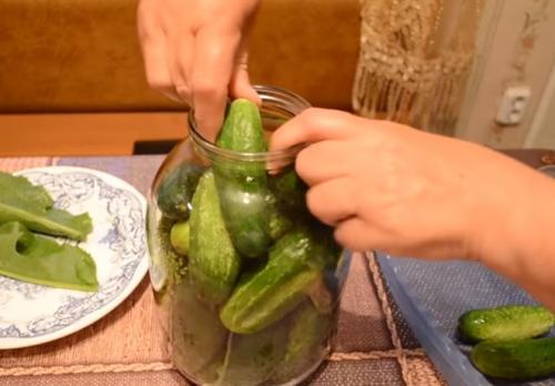 Рецепт соленых огурцов на зиму в 3 литровых банках хрустящие. Хрустящие соленые огурцы холодным способом. Рецепт на 3 литровую банку