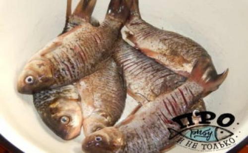 Как правильно пожарить карася или карпа, чтобы не было костей. Как вкусно пожарить карасей, чтобы не чувствовались кости