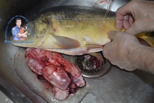 Карп в духовке с картошкой в майонезе. Карп запеченный в духовке с картошкой. Рецепт с фото кусочками