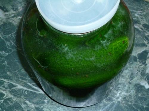 Рецепт вкусных соленых огурцов на зиму в банках хрустящие. Рецепт соленых огурцов в банках на зиму для хранения в квартире