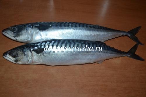 Рецепт скумбрии пряного посола. Вкусная слабосоленая скумбрия