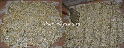 Рецепт козинаков из семечек подсолнуха в домашних условиях. Рецепт козинаков из семечек в домашних условиях