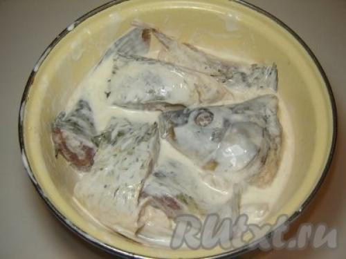 Карп в сметане в рукаве. Карп в сметане. Готовим карпа в рукаве