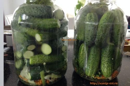 Рецепт хрустящих вкусных соленых огурцов. Сладкие хрустящие маринованные огурцы  на зиму  рецепт на 1 литр