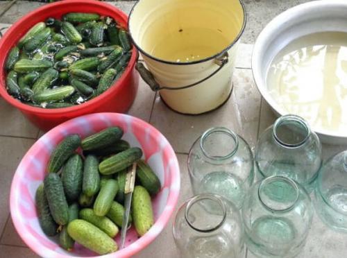 Соленые огурцы на зиму рецепты хрустящие на 1 литр воды. Маринованные и хрустящие огурцы на зиму в банках