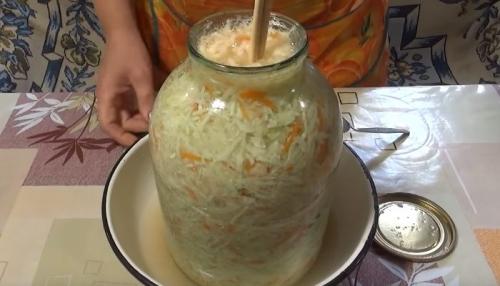 Простые рецепты квашеной капусты в банках. Квашеная капуста в банке с рассолом — рецепт быстрого приготовления (за 3 дня)