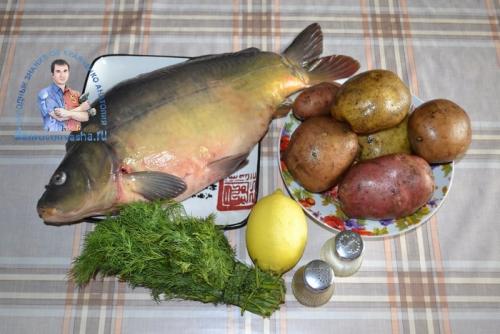 Карп в духовке с картошкой в майонезе. Карп запеченный в духовке с картошкой. Рецепт с фото кусочками