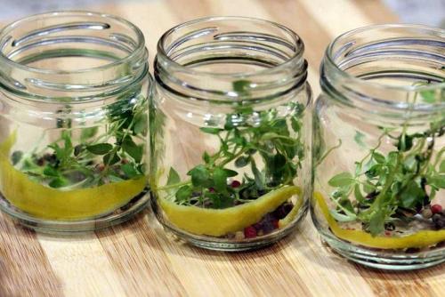 Маринованный чеснок хрустящий. Маринуем на зиму чеснок зубчиками: 3 самых вкусных рецепта