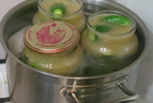 Рецепт соленых хрустящих огурцов на зиму. Вкусный рецепт солёных огурцов с горчицей