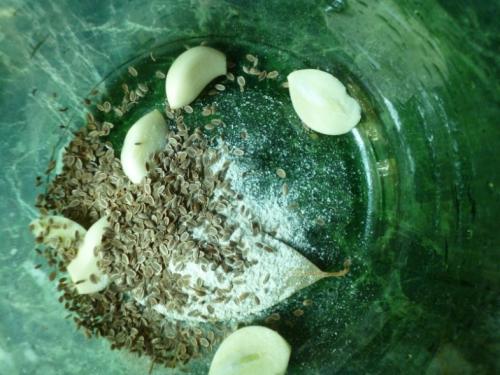 Рецепт вкусных соленых огурцов на зиму в банках хрустящие. Рецепт соленых огурцов в банках на зиму для хранения в квартире