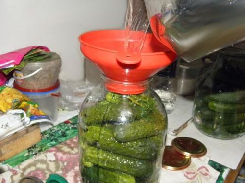 Соленые огурцы на зиму рецепты хрустящие на 1 литр воды. Маринованные и хрустящие огурцы на зиму в банках