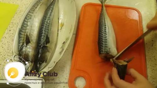 Скумбрия пряного посола в домашних условиях рецепт. Пошаговый рецепт приготовления скумбрии пряного посола с фото