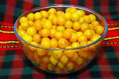 Соус ткемали из слив рецепт на зиму. Ткемали из алычи классический