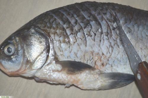 Как избавиться от мелких костей в рыбе. Лайфхак: как легко избавиться от костей в рыбе