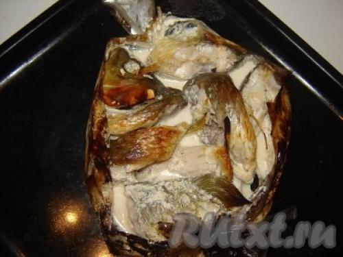 Карп в сметане в рукаве. Карп в сметане. Готовим карпа в рукаве