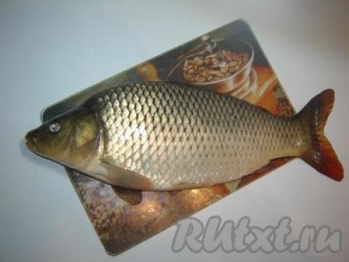 Карп в сметане в рукаве. Карп в сметане. Готовим карпа в рукаве