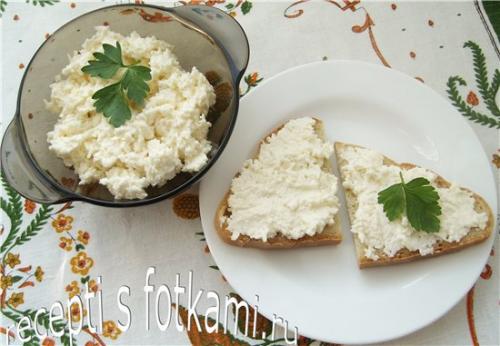 Плавленый сыр с чесноком. Закуска из плавленых сырков с чесноком и майонезом