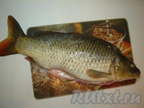 Карп в сметане в рукаве. Карп в сметане. Готовим карпа в рукаве