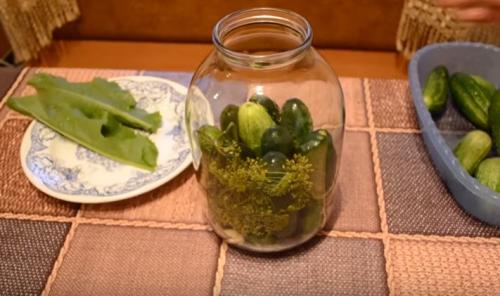 Рецепт соленых огурцов на зиму в 3 литровых банках хрустящие. Хрустящие соленые огурцы холодным способом. Рецепт на 3 литровую банку