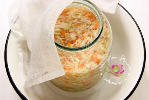 Квашеная капуста в собственном соку: рецепт с фото