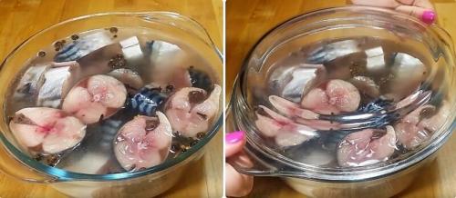 Скумбрия пряного посола в домашних условиях очень вкусная целиком. Нежнейшая скумбрия пряного посола кусочками — очень удачный рецепт