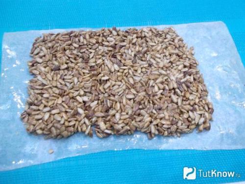 Как сделать козинаки в домашних условиях из семечек и меда. Козинаки из семечек и меда