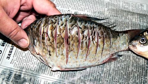 Как пожарить карася в сметане. Пошаговый рецепт приготовления карася в сметане на сковороде