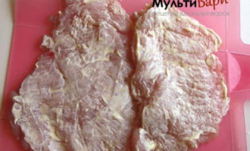 Рулетики с черносливом в мультиварке. Куриные рулетики, фаршированные черносливом, орехами и сыром