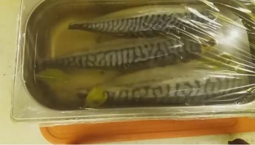 Скумбрия слабосоленая в рассоле. Солим свежемороженную скумбрию в рассоле