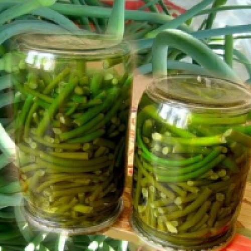 Маринование стрелок чеснока в домашних условиях рецепт. Маринованные стрелки чеснока
