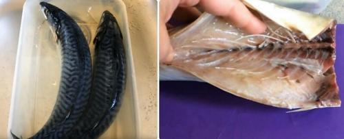 Засолка скумбрии сухой способ в домашних условиях рецепты. Сухой способ соления скумбрии целиком с головой