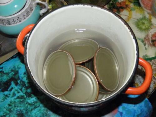 Соленые огурцы на зиму рецепты хрустящие на 1 литр воды. Маринованные и хрустящие огурцы на зиму в банках