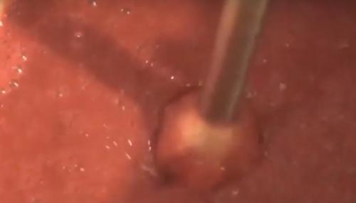 Конфитюр сливовый с желатином. Можно ли приготовить джем из сливы с желатином? 04