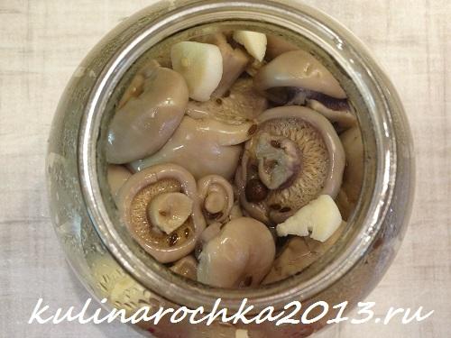 Гриб рядовка маринование. Как приготовить маринованные рядовки:
